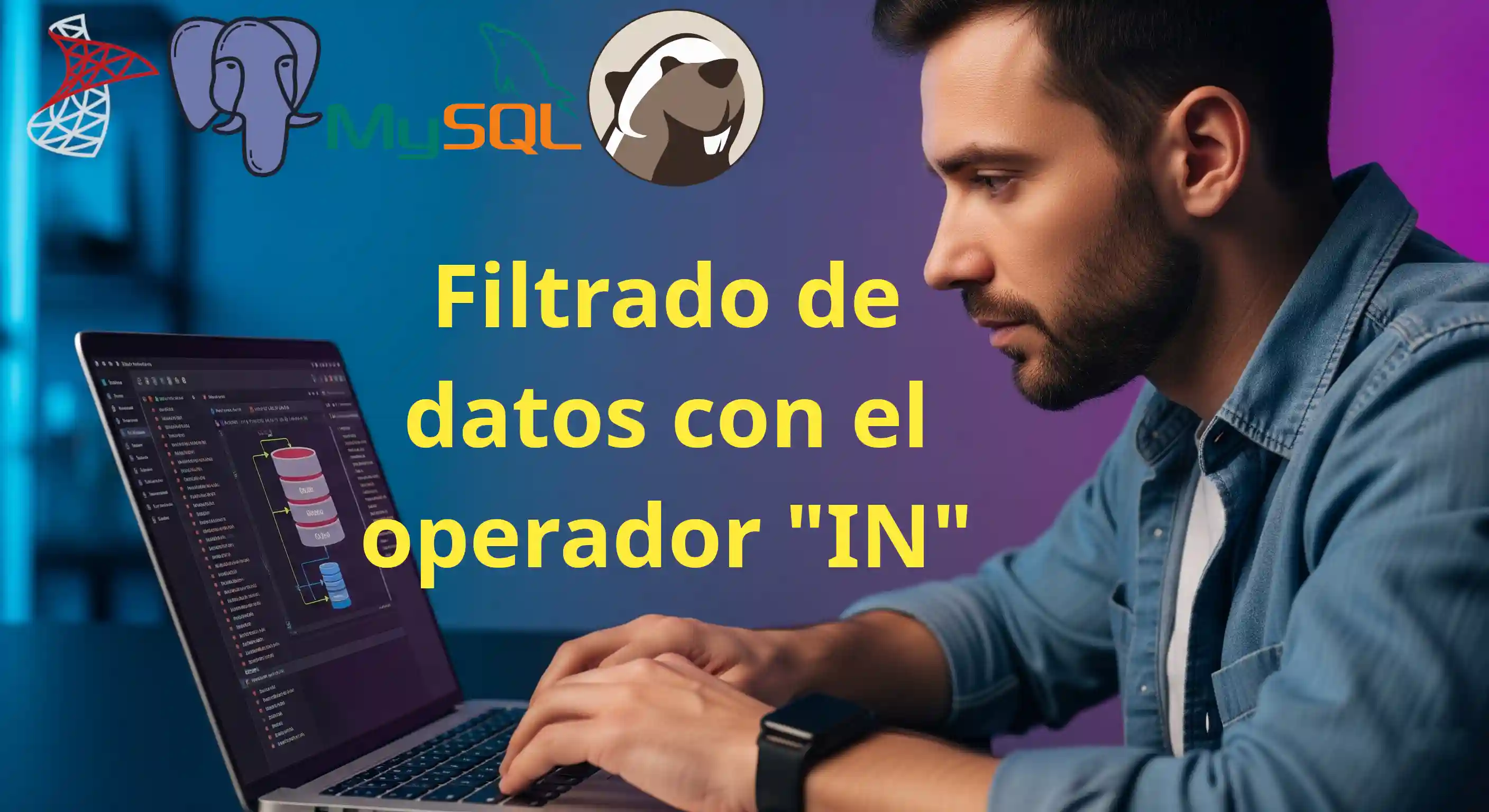 Imagen del artículo sobre "Filtrado de datos con el operador IN"